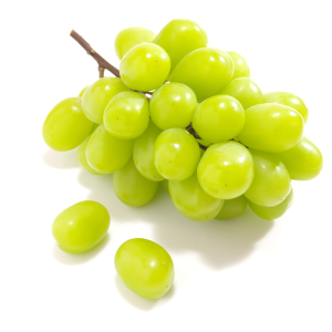 한국 영주산 수출 포도 B급